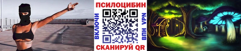 Купить закладки  Шумерля  Псилоцибиновые грибы Psilocybine cubensis 